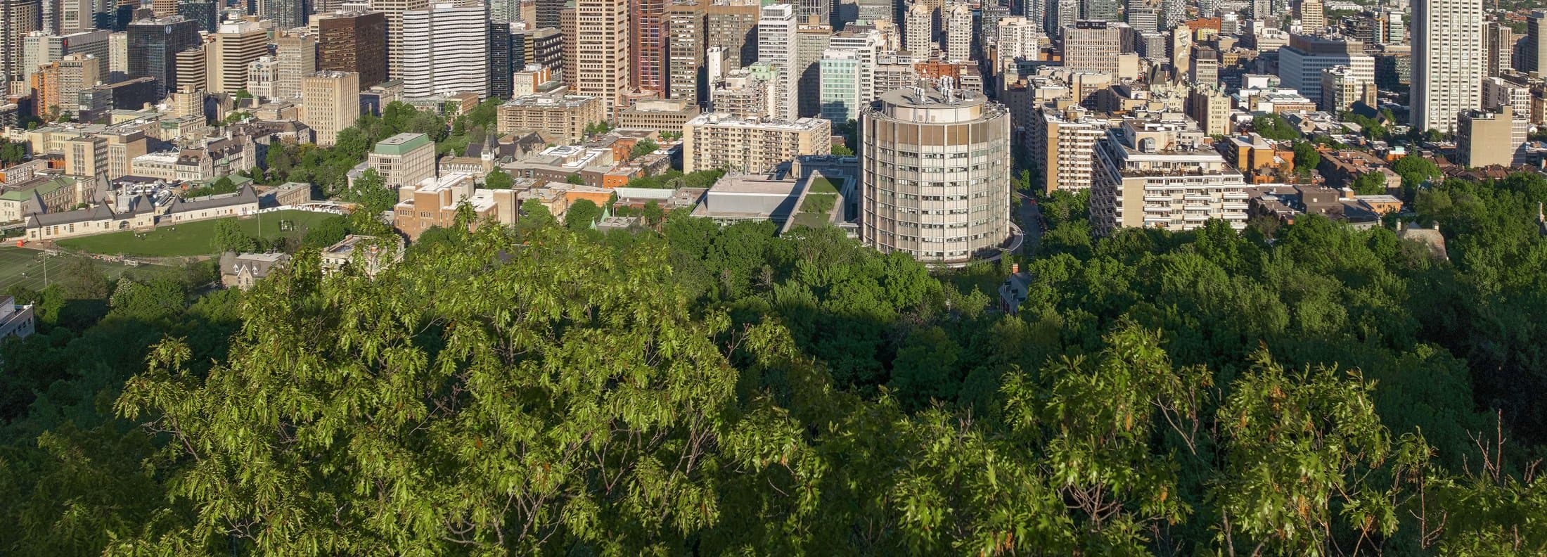 The downtown Montréal skyline from Mount Royal